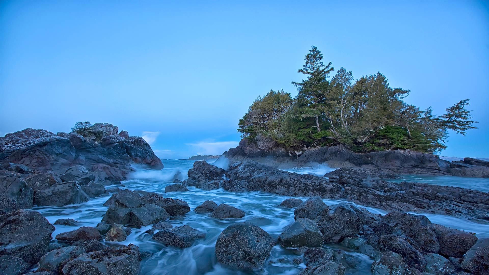 Shoreline near Tofino on Vancouver Island, British Columbia, Canada