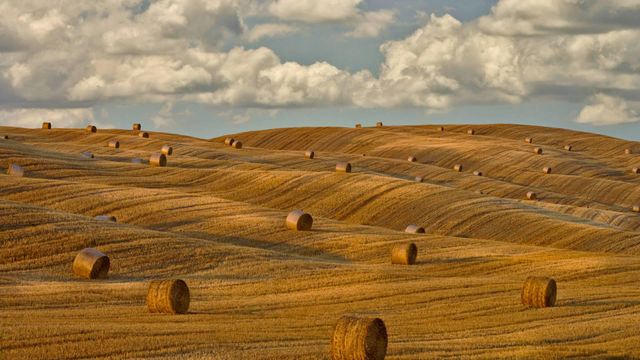 Hay bales in Tuscany, Italy