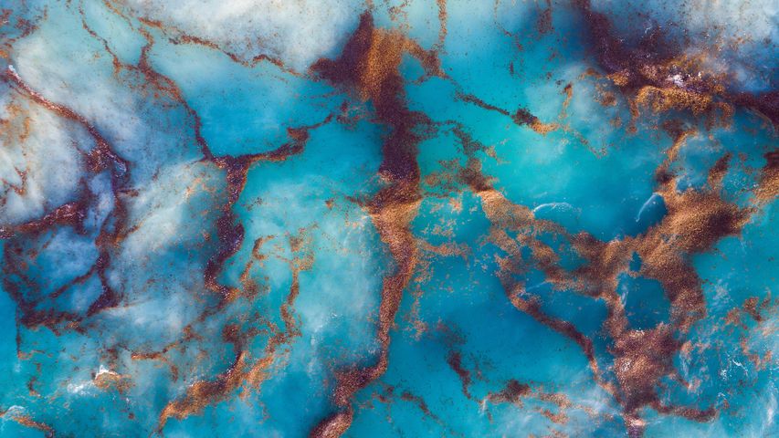 Streaks of sargassum