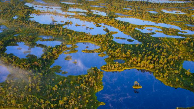 Ķemeri National Park, Latvia