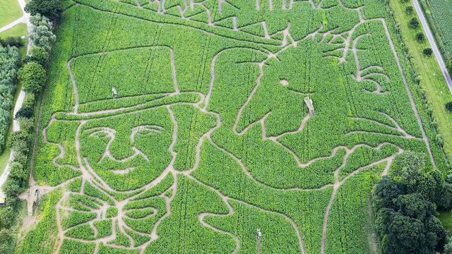 A Roald Dahl-themed maze in York 