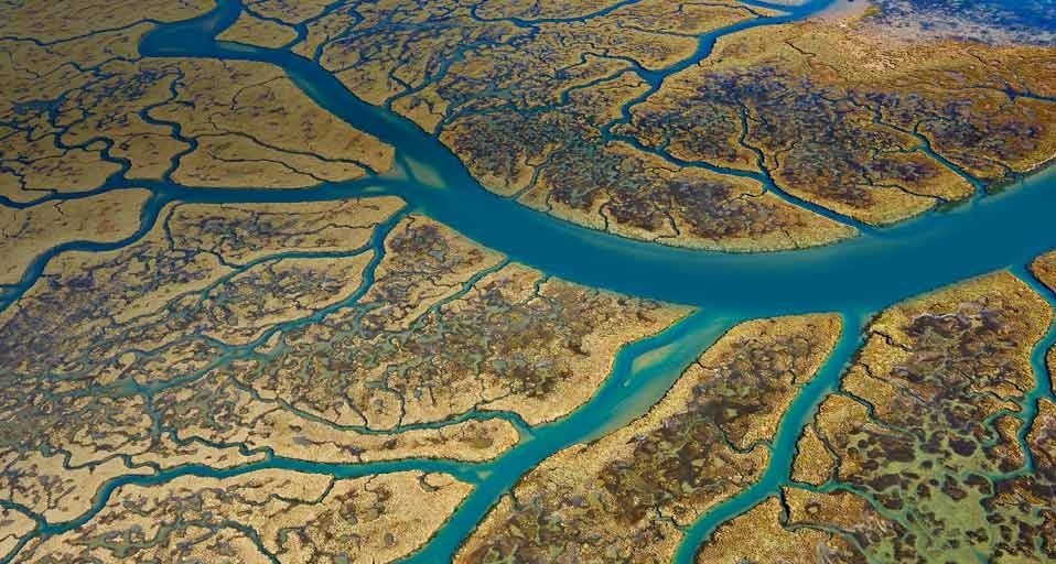 Marismas del Odiel Biosphere Reserve, Huelva Province, Andalusia, Spain