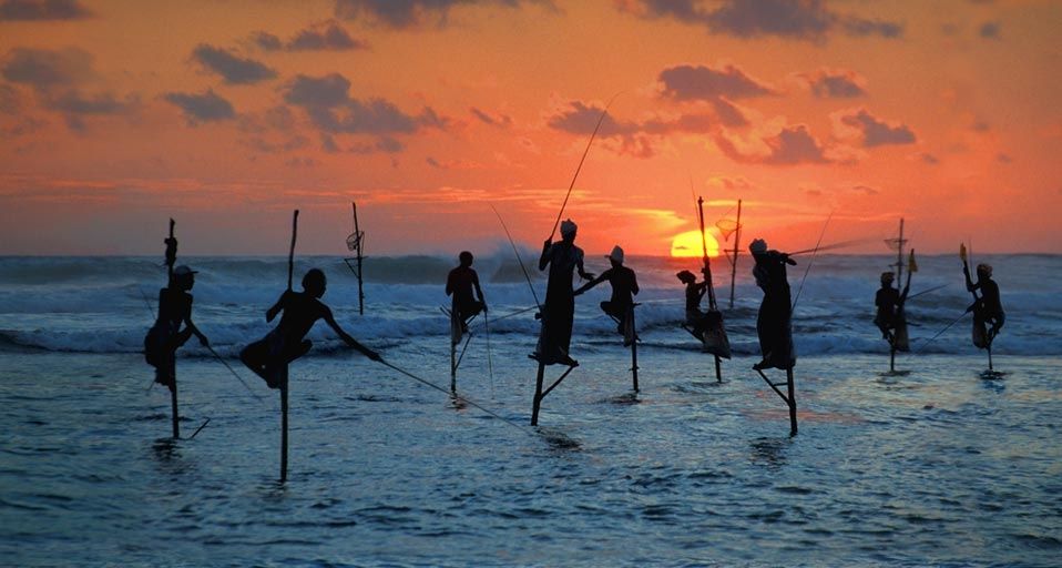 Traditional fishermen standing on a stilts in the sea in Sri Lanka