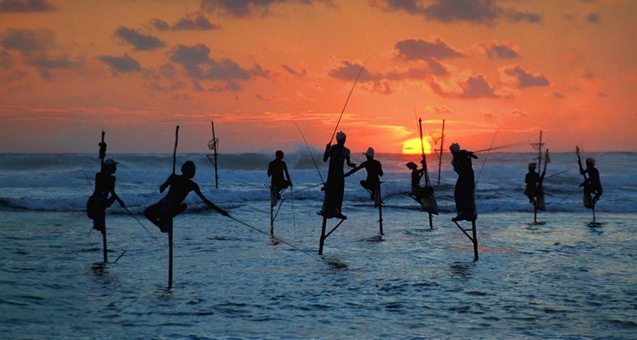 Traditional fishermen standing on stilts in the sea in Sri Lanka