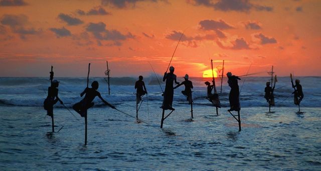 Traditional fishermen standing on a stilts in the sea in Sri Lanka