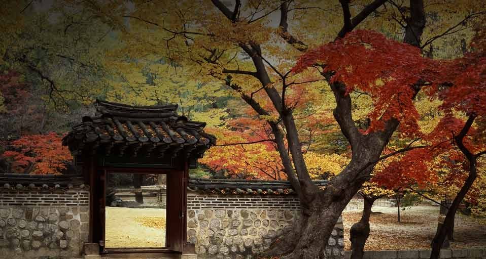 Garden at Changdeokgung Palace, Korea, a World heritage site