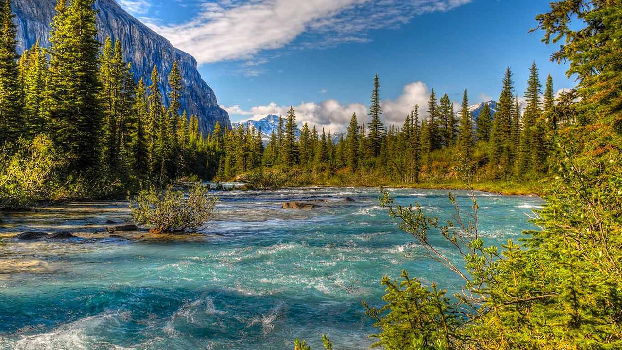 Berg Lake Trail, Mount Robson Provincial Park, B.C. 