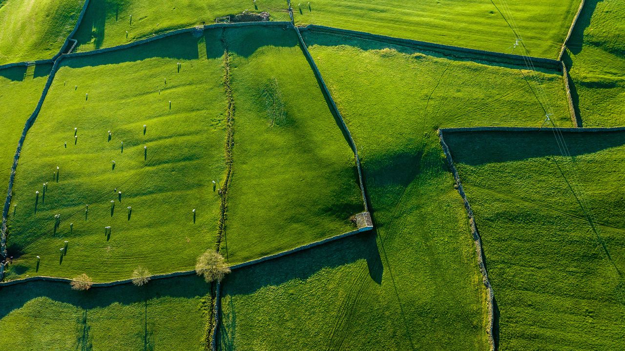 Hill, dale, and dry stone