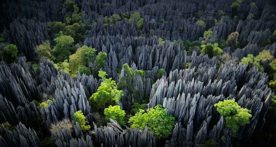 马达加斯加喀斯特石灰岩层地质奇观