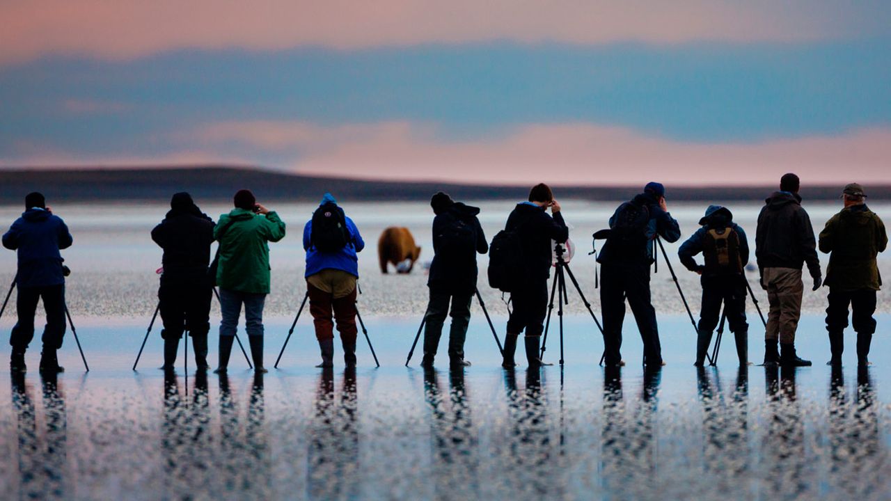 Photographers shooting pictures of brown bears in Lake Clark National Park and Preserve, Alaska, USA