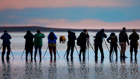 终于看完《奋斗》了
