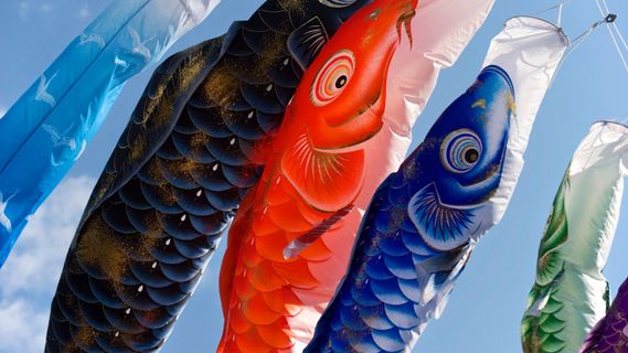 老是分给我dump文件分析crash bug