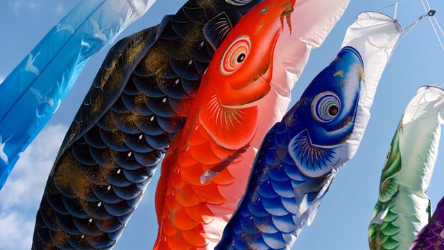 ｢こいのぼり｣