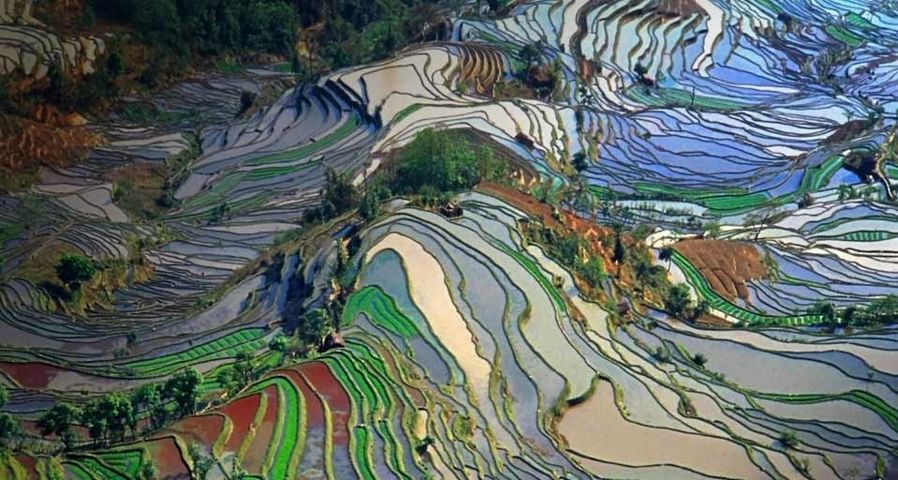 Aerial view of rice fields in Yunnan Province, China