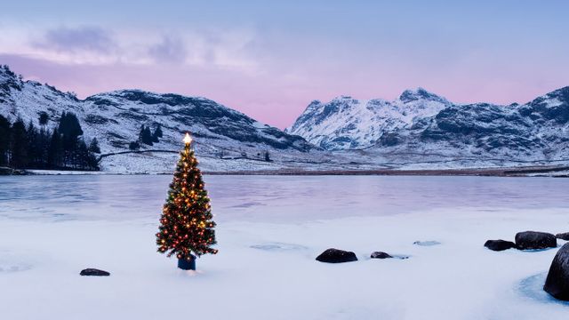 The Langdale Pikes with an illuminated Christmas tree, Lake District National Park 