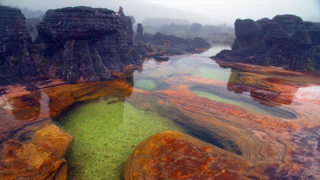Sources chaudes sur le mont Roraima, Venezuela