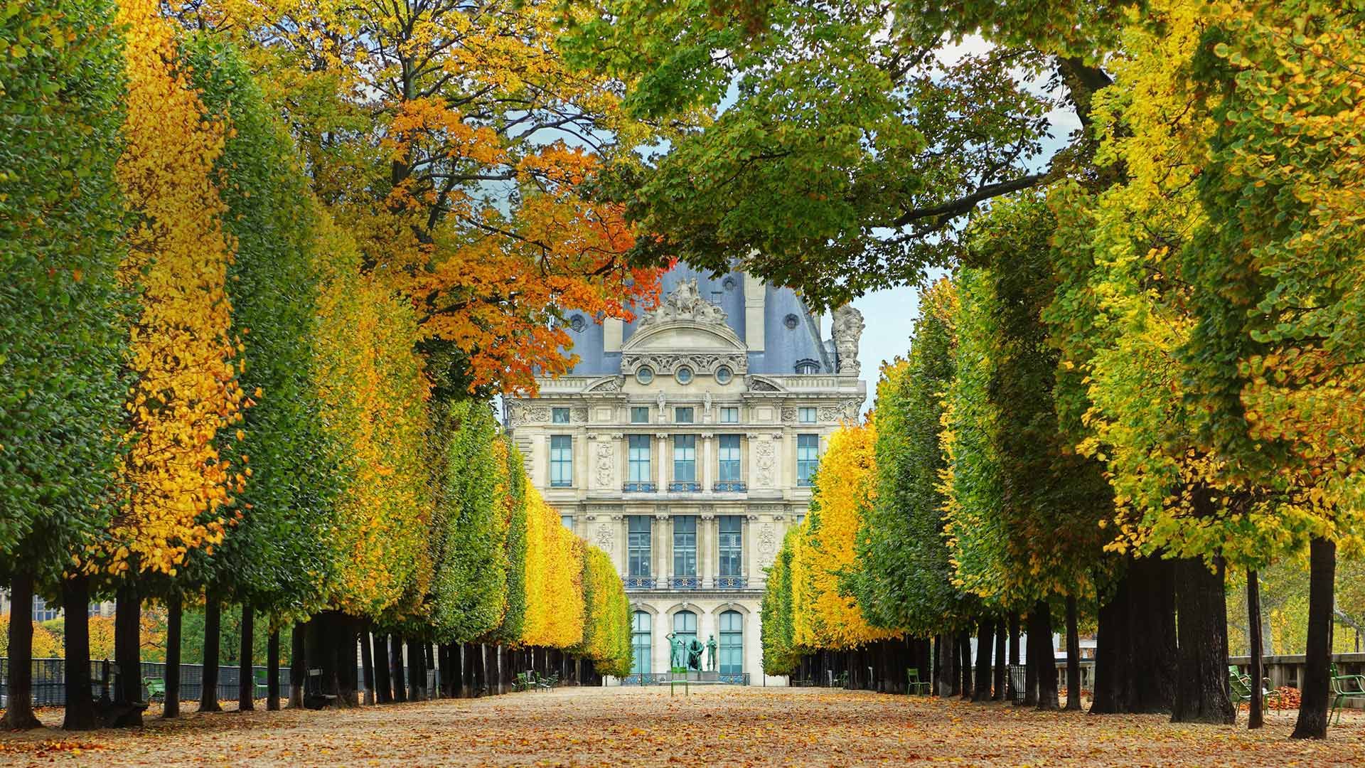 テュイルリー庭園の並木道 フランス パリ Bing Gallery