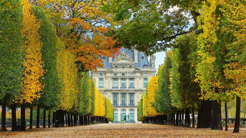 Jardin des Tuileries in autumn, leading to the Louvre Museum in Paris, France