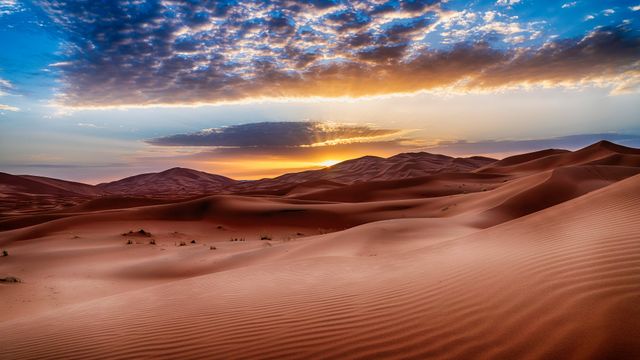 Of dunes and monsoons