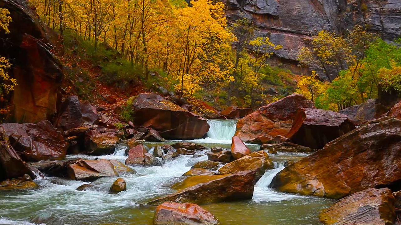 North Fork of the Virgin River, Zion Canyon, Utah, USA