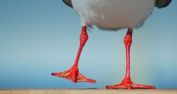 果然我马上坚持不下去了