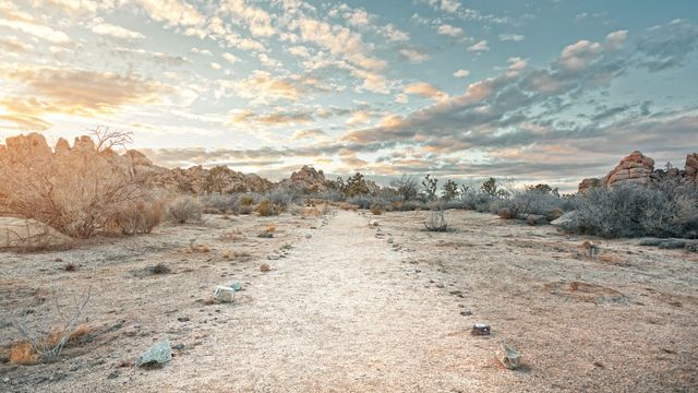 Joshua Tree National Park, California