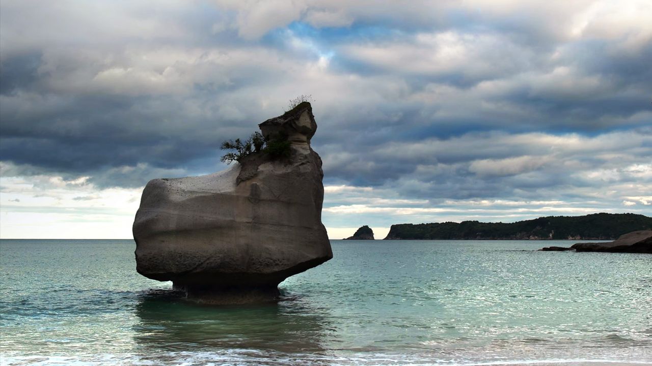 Eroding rock à Cathedral Cove, île du Nord, Nouvelle-Zélande 