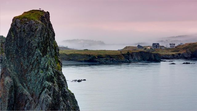 Sentier Skerwink dans la péninsule de Bonavista, Terre-Neuve, Canada