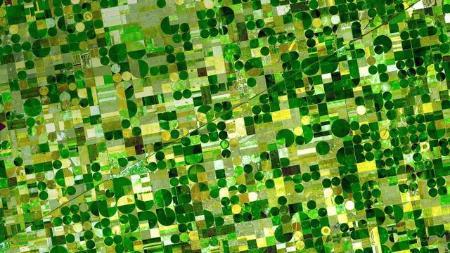 Farm plots in southwestern Kansas