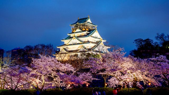 ベトナム 米絵 城 ライスピクチャー 日本画 風景画 姫路城  桜 白鷺城と桜の風景 姫路城 兵庫の風景 | JAPAN WEB MAGAZINE