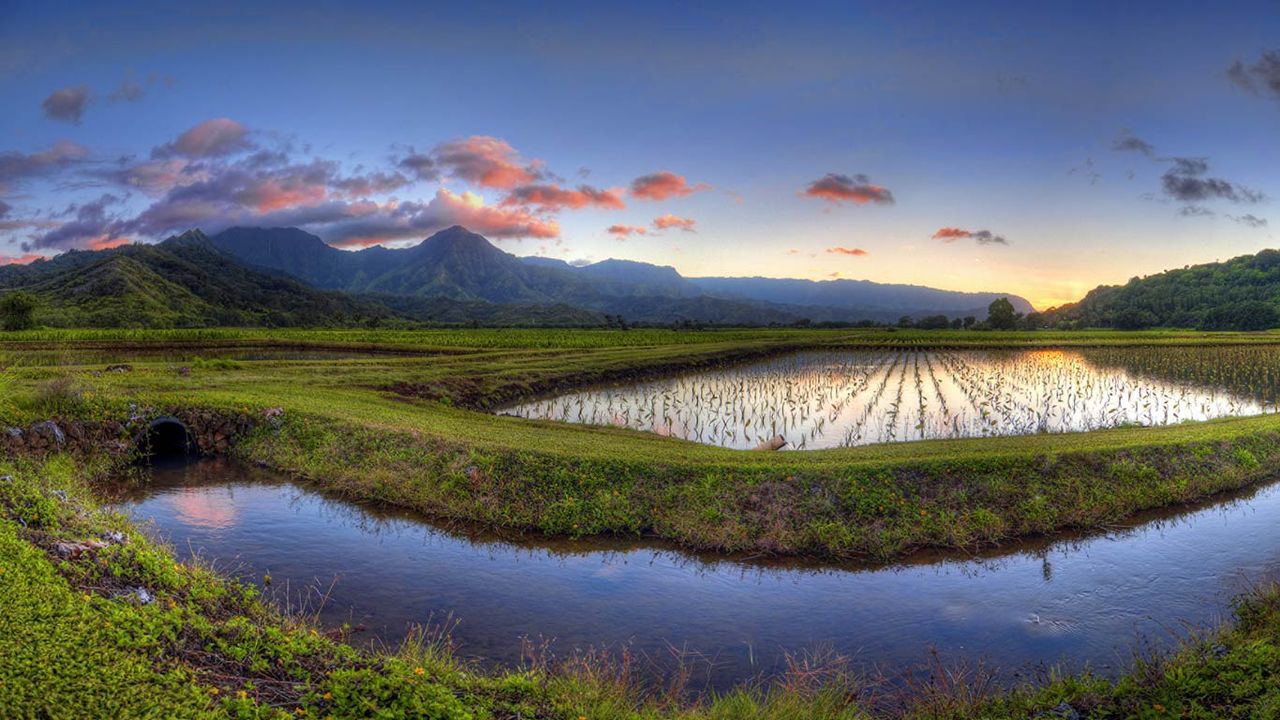 Hanalei Valley, Kauai, Hawaii