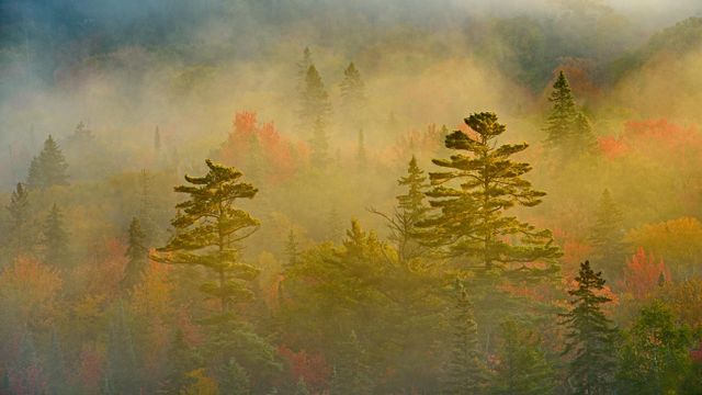 Parc provincial du Lac-Supérieur, Ontario, Canada