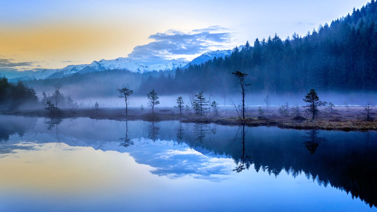 The misty bogs of Pian di Gembro Regional Reserve near Aprica, Italy 