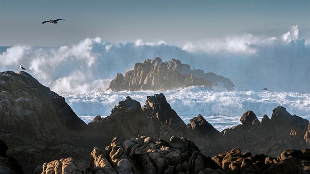 Brandung am Asilomar State Beach, Pacific Grove, Kalifornien, USA