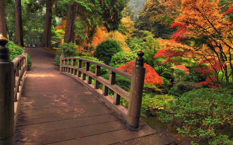 Bridges in Autumn Windows 10 Theme