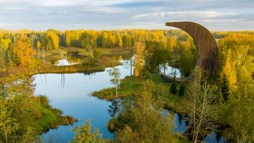 Kirkilai湖泊和瞭望塔，比尔扎伊地区公园，立陶宛