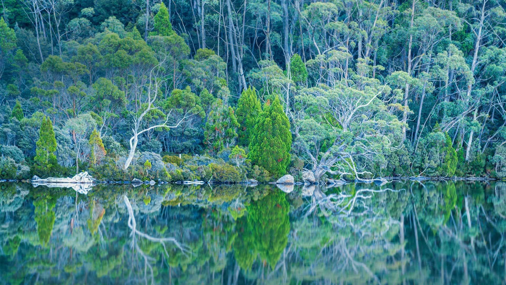 Bay of Fires Wallpaper 4K Tasmania Australia Sunrise 3825