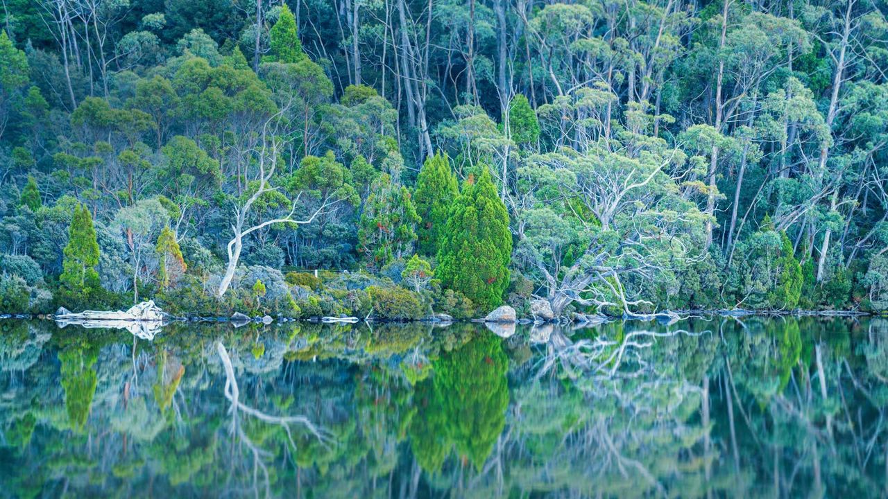 Parc national du mont Field, Tasmanie