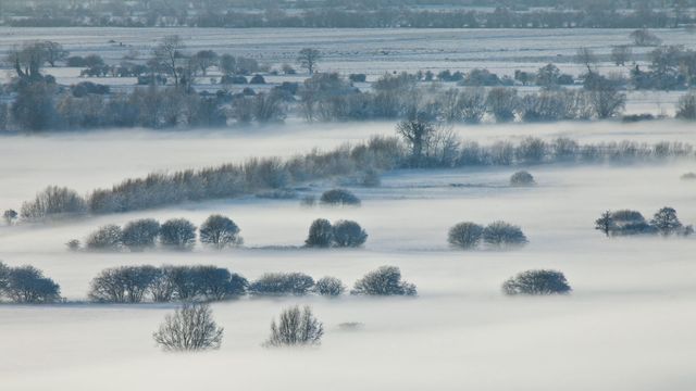In Somerset, England, for Old Twelvey Night