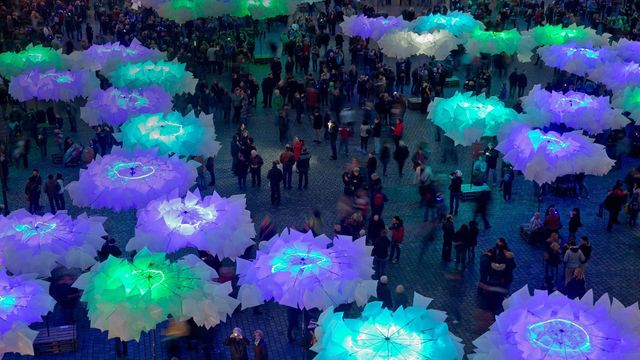 Die Installation „Waldplastik“ während der Blauen Nacht in Nürnberg, Bayern, Deutschland