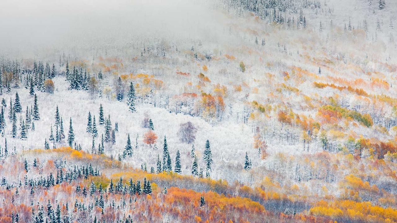 Early snowfall near Fairbanks, Alaska 