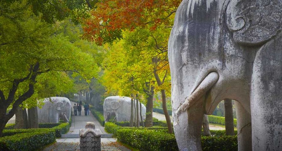 Elephants on Stone Statue Road at Ming Xiaoling Mausoleum, Zijin Shan, Nanjing, Jiangsu, China