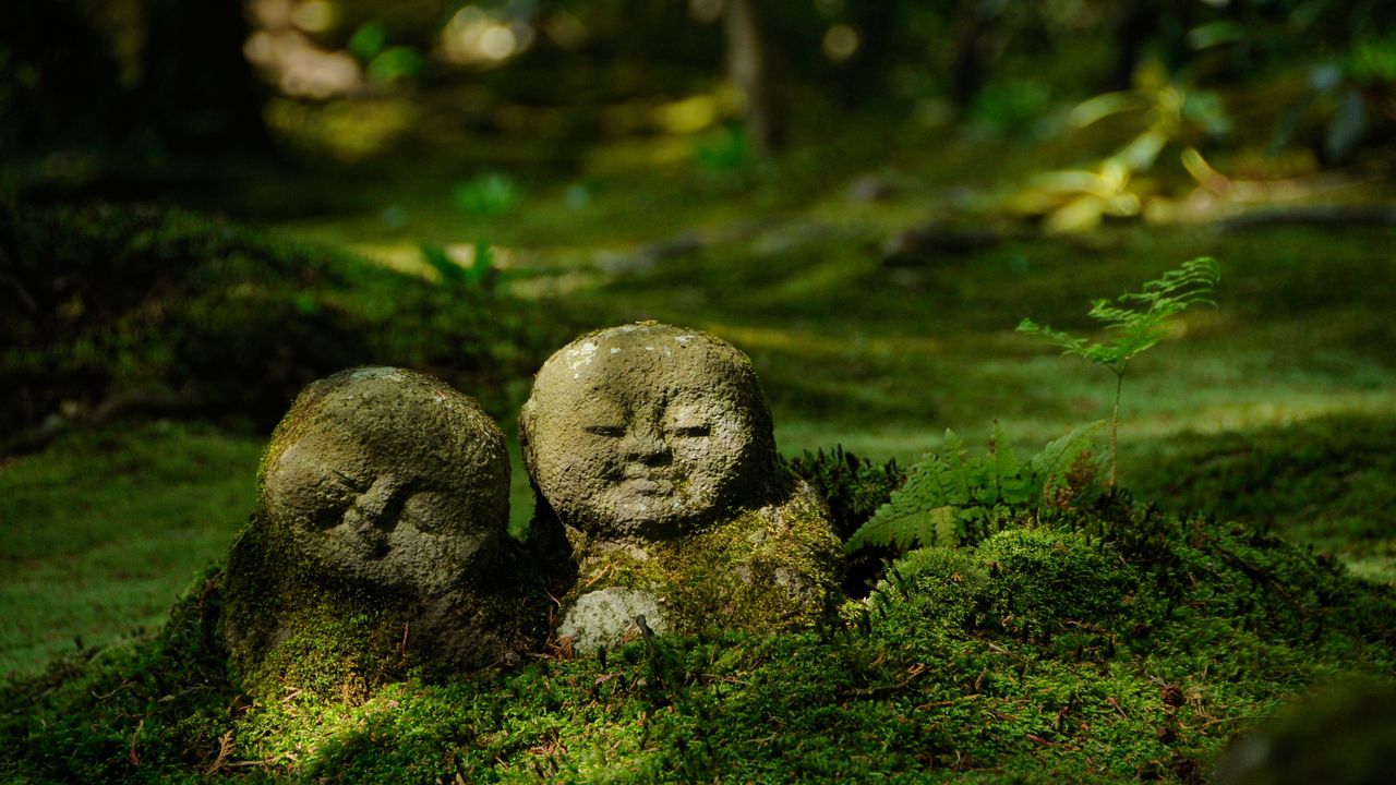 三千院のわらべ地蔵, 京都 - Bing Gallery · Peapix