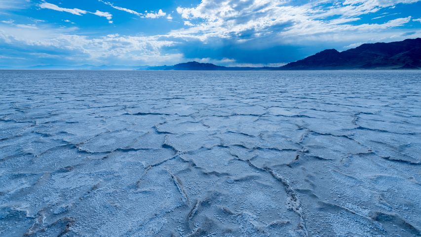A salty spectacle
