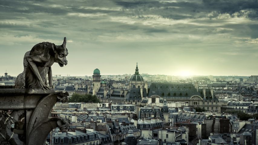 Chimera of Notre-Dame de Paris, France - Bing Gallery