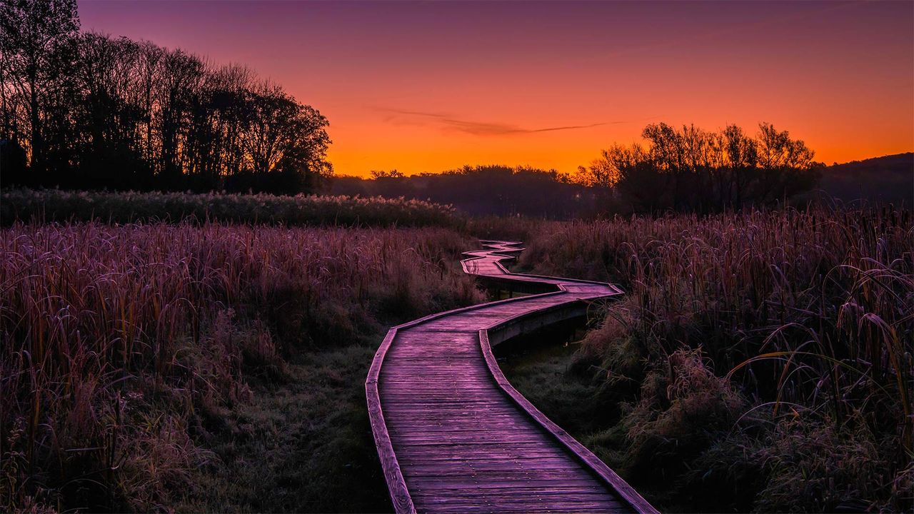 Stairway to Heaven trail, Wawayanda State Park, New Jersey, USA