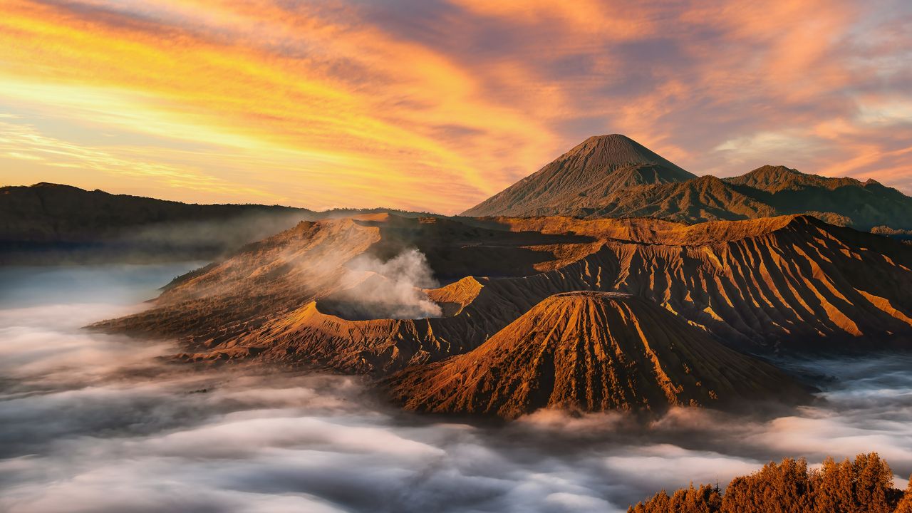 The Bromo bunch