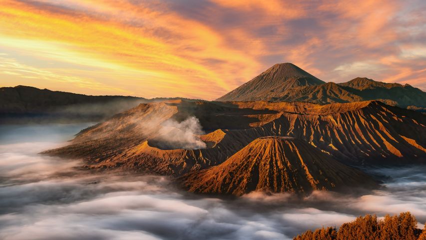 The Bromo bunch