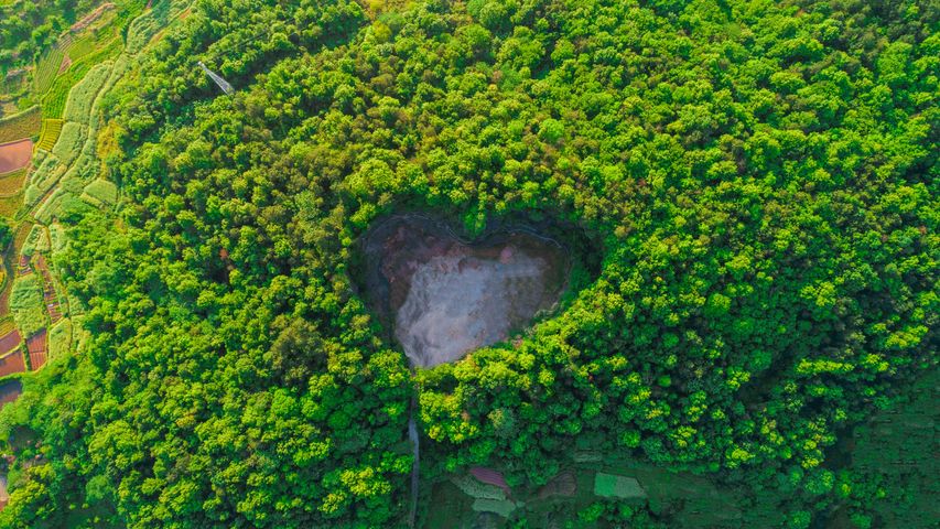 上海浦东森林心形洞穴鸟瞰图，中国
