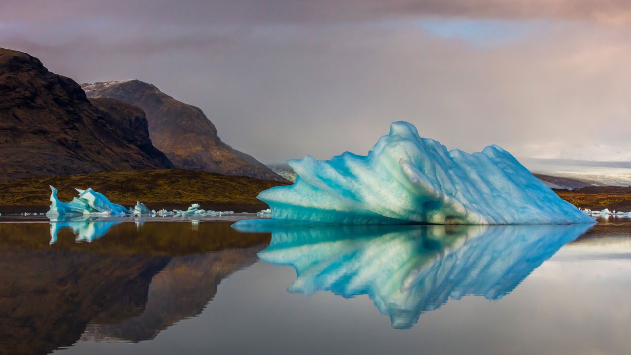 Where blue bergs bob